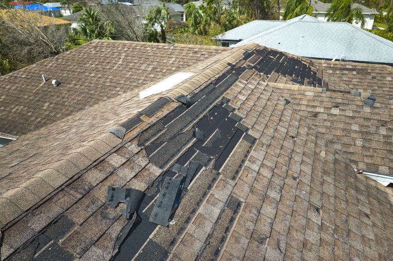 Reliable Roof Repairs
